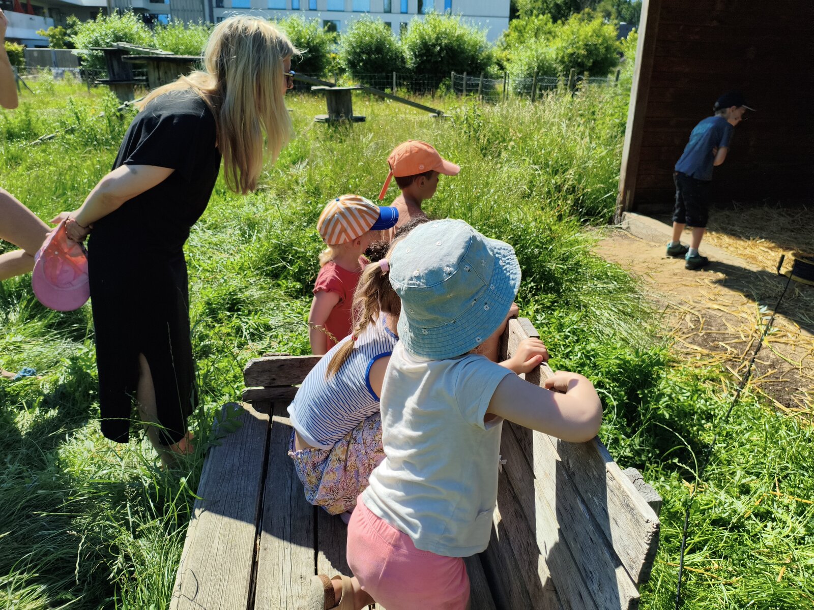 Kinderen op de buitenklas van Mekkerland