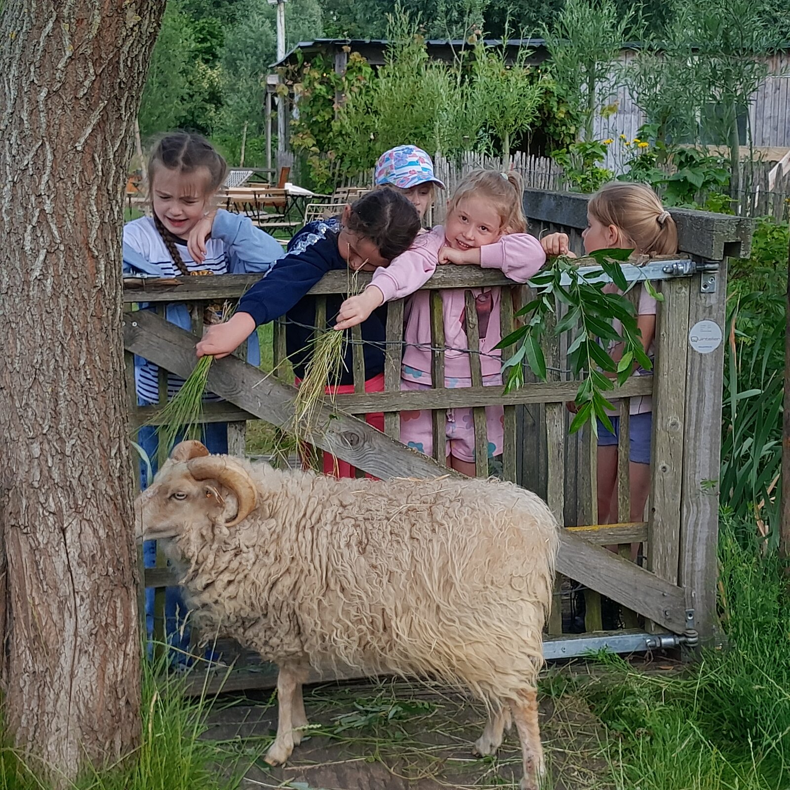 Sfeerbeeld buitenklas