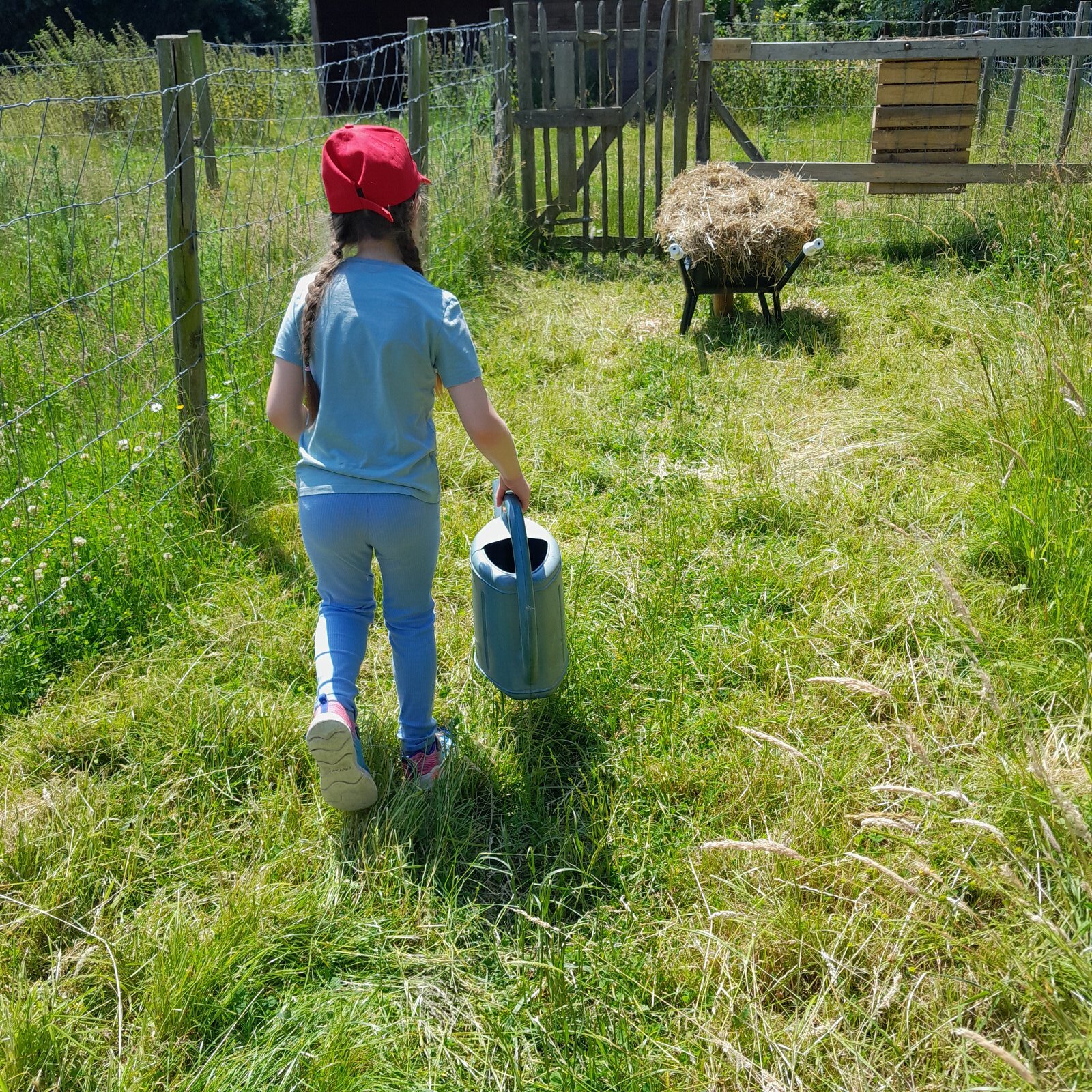 Sfeerbeeld zorgboerderij