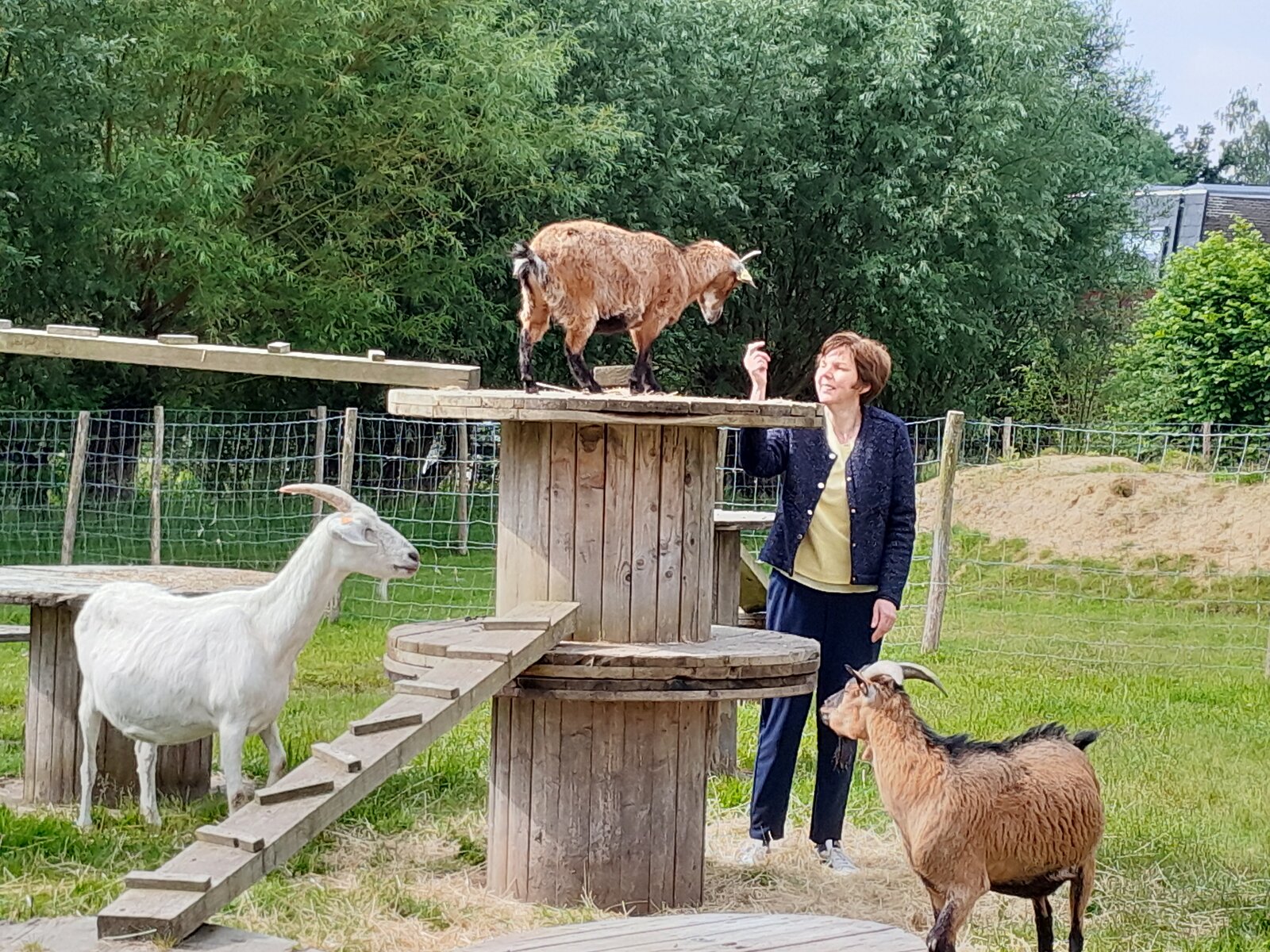 Sfeerbeeld zorgboerderij
