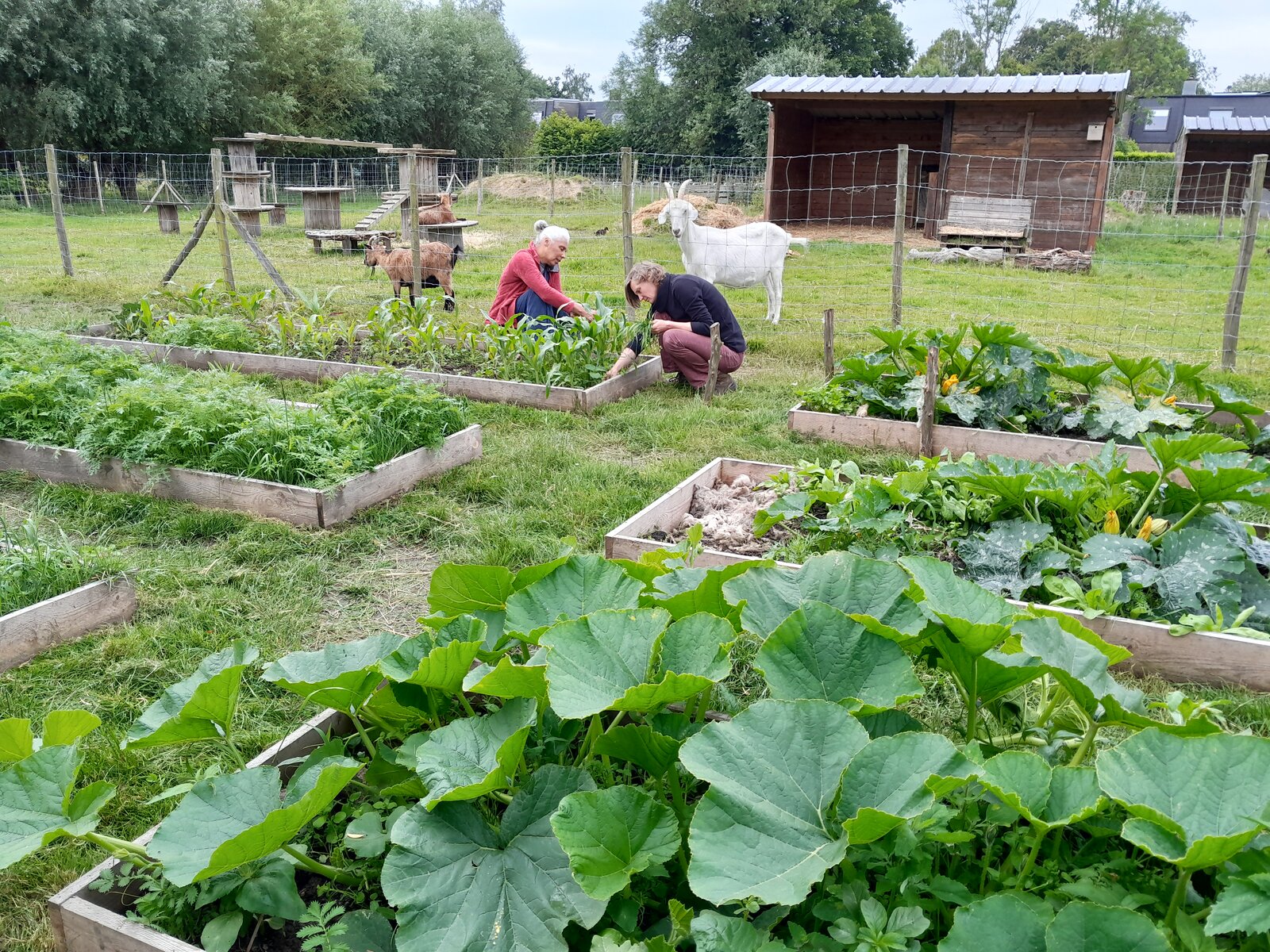 Sfeerbeeld zorgboerderij