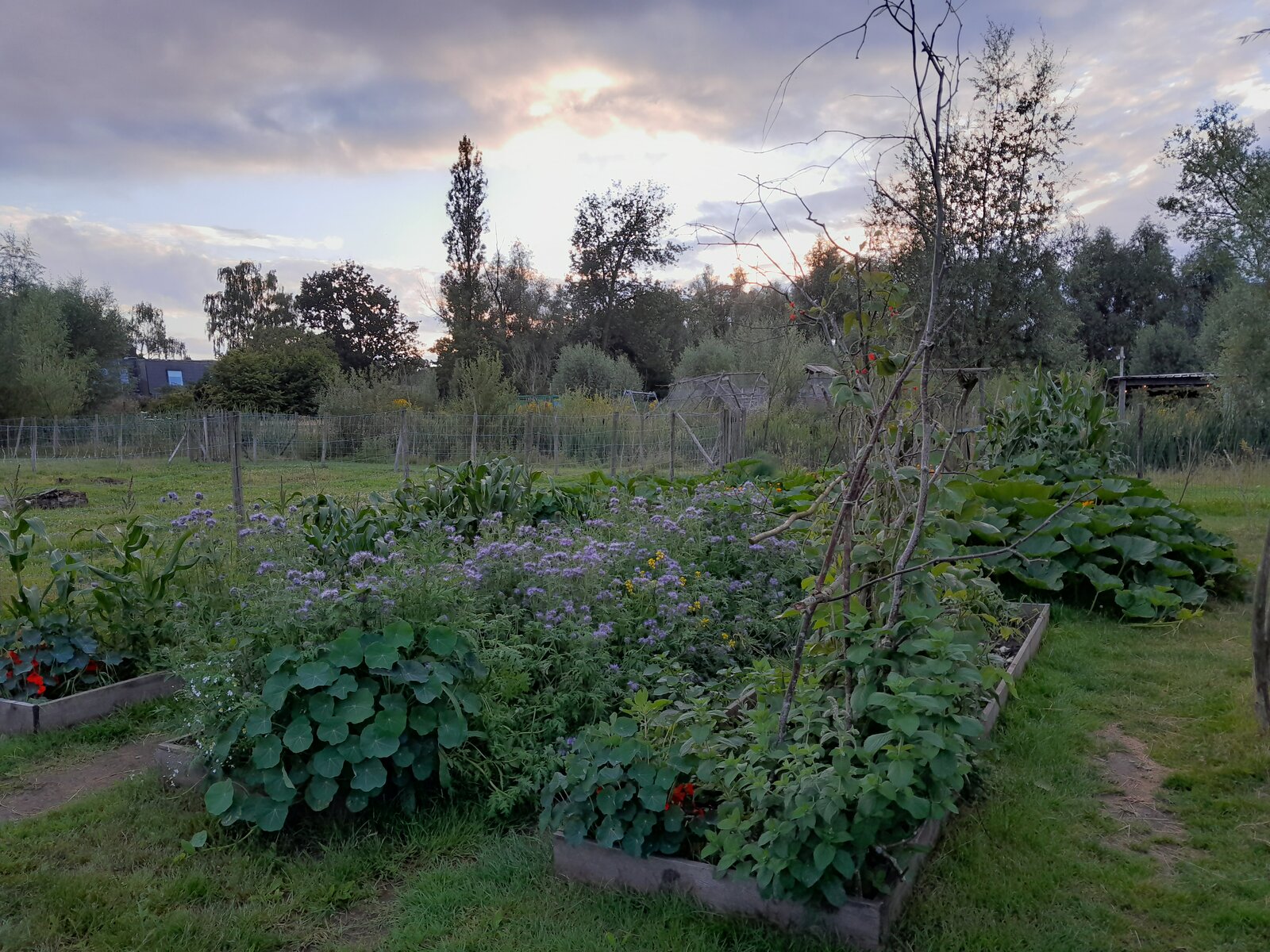 Sfeerbeeld zorgboerderij