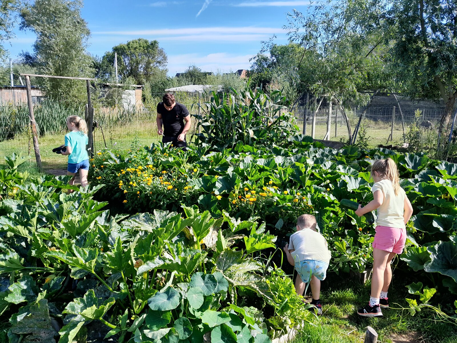 Sfeerbeeld zorgboerderij