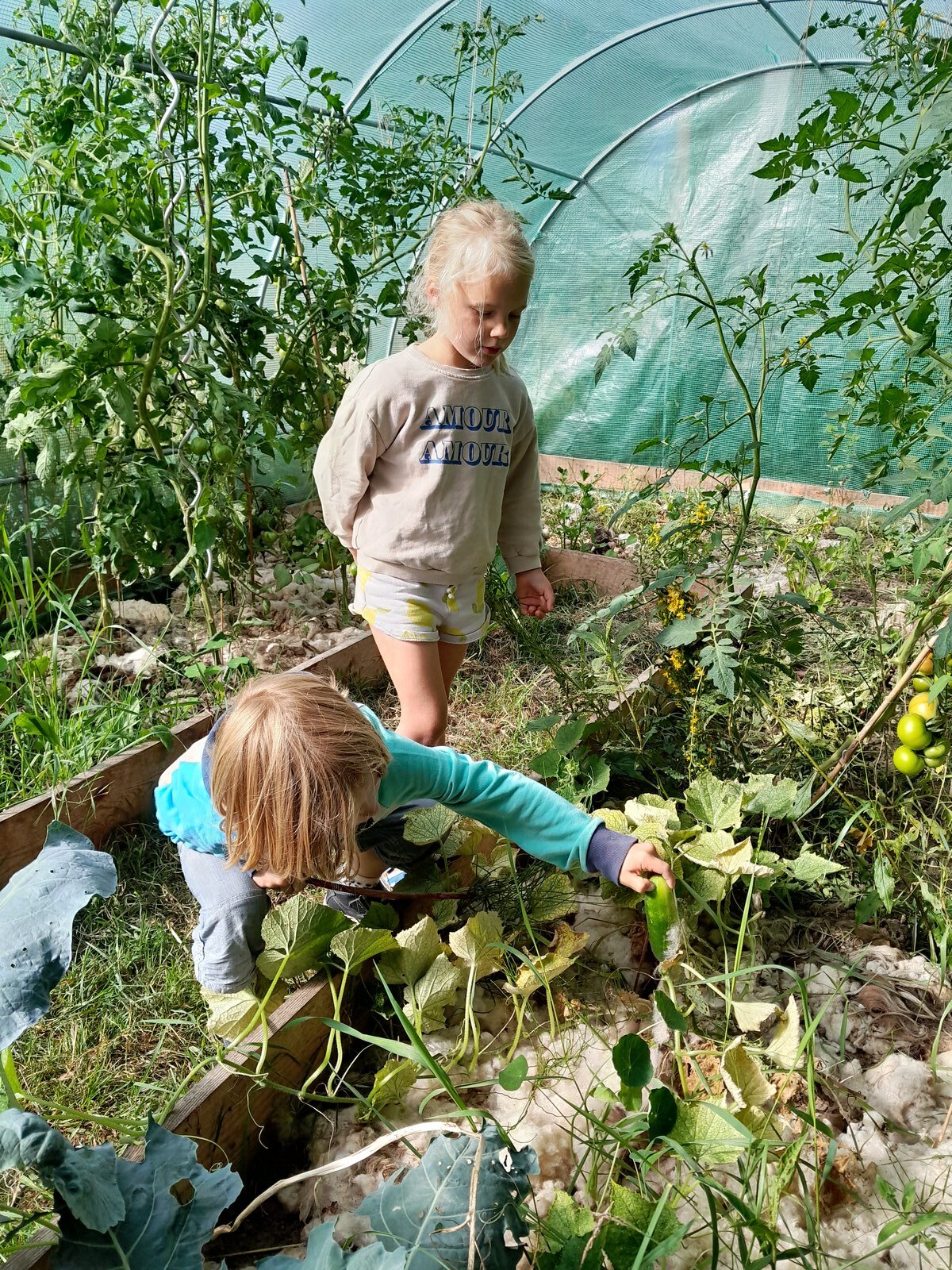 Sfeerbeeld zorgboerderij
